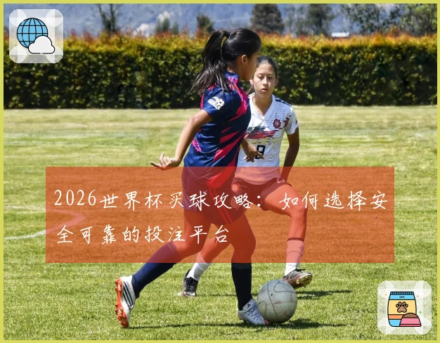 2026世界杯买球攻略：如何选择安全可靠的投注平台