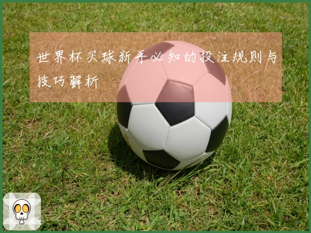 世界杯买球新手必知的投注规则与技巧解析