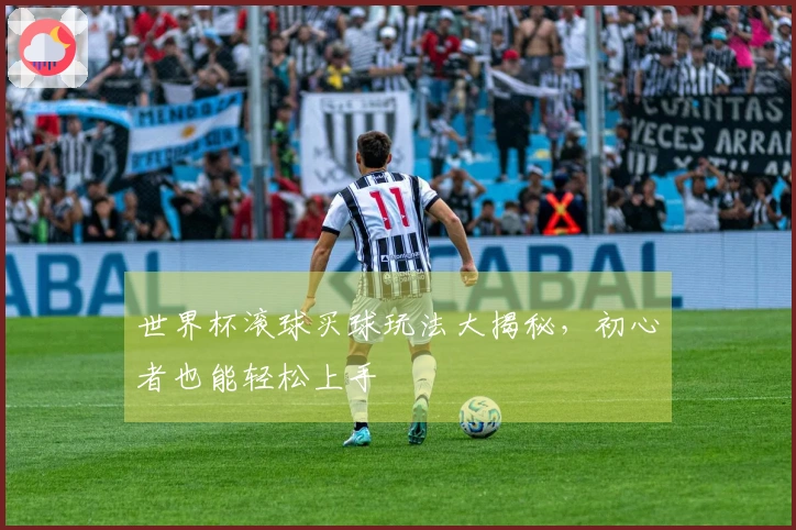 世界杯滚球买球玩法大揭秘，初心者也能轻松上手