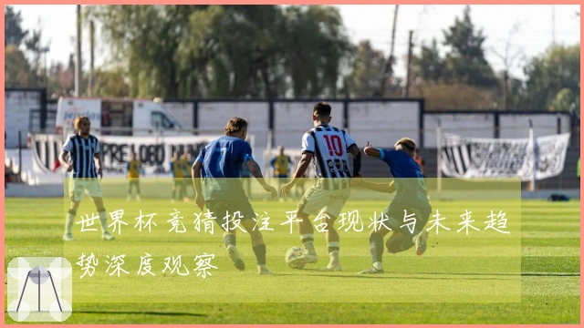 世界杯竞猜投注平台现状与未来趋势深度观察