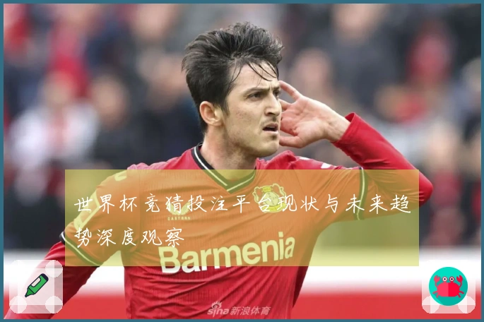 世界杯竞猜投注平台现状与未来趋势深度观察