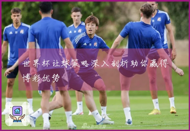 世界杯让球策略深入剖析助你赢得博彩优势