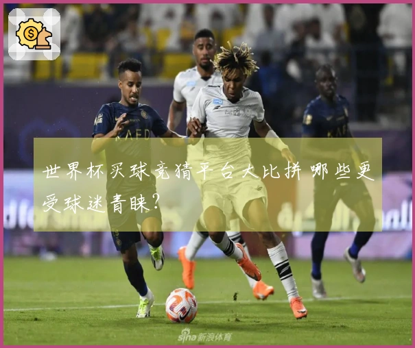 世界杯买球竞猜平台大比拼 哪些更受球迷青睐？