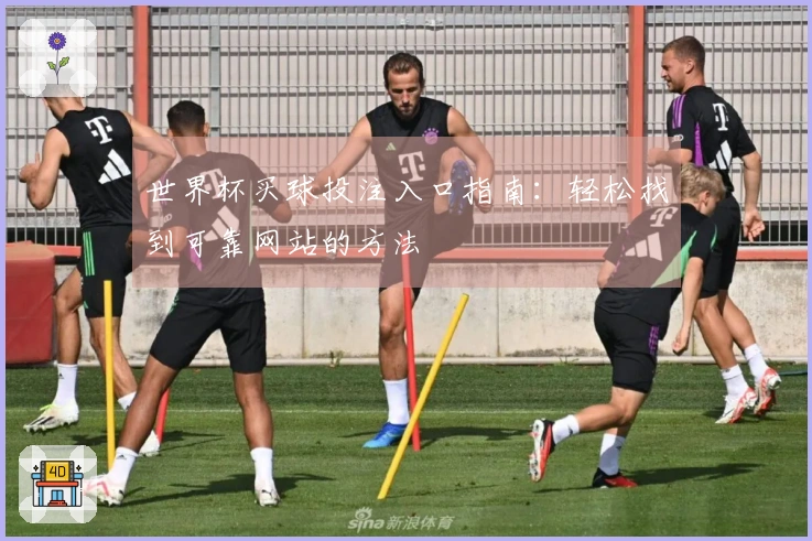 世界杯买球投注入口指南：轻松找到可靠网站的方法